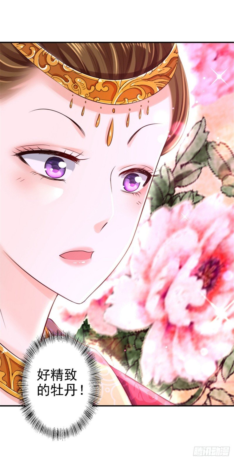 第45话 牡丹泣血