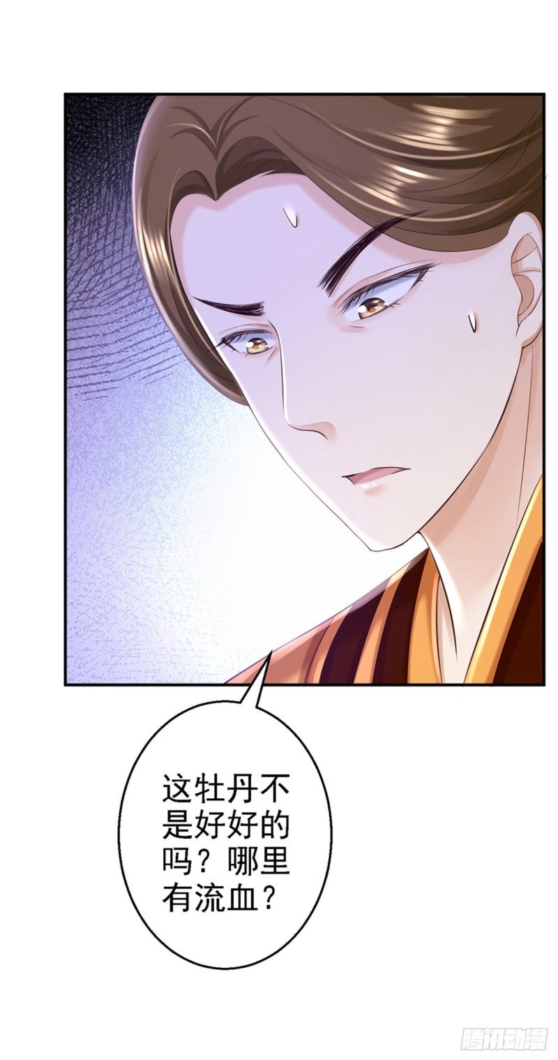 第45话 牡丹泣血