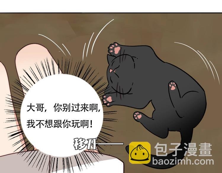第56话 可爱