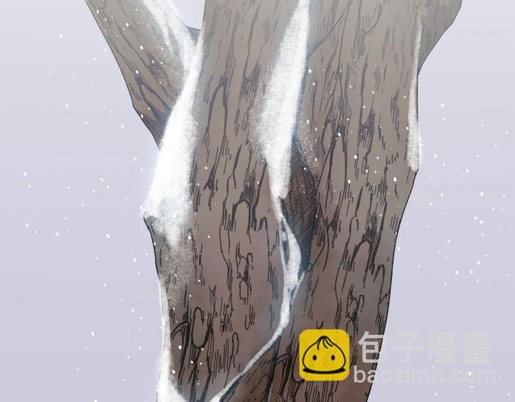 第11话 愿望