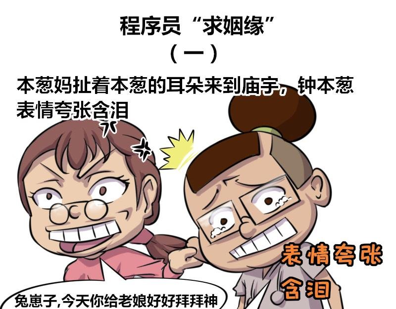 【44】程序员“求姻缘”