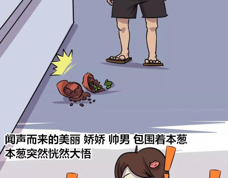 【75】程序员“卖萌”
