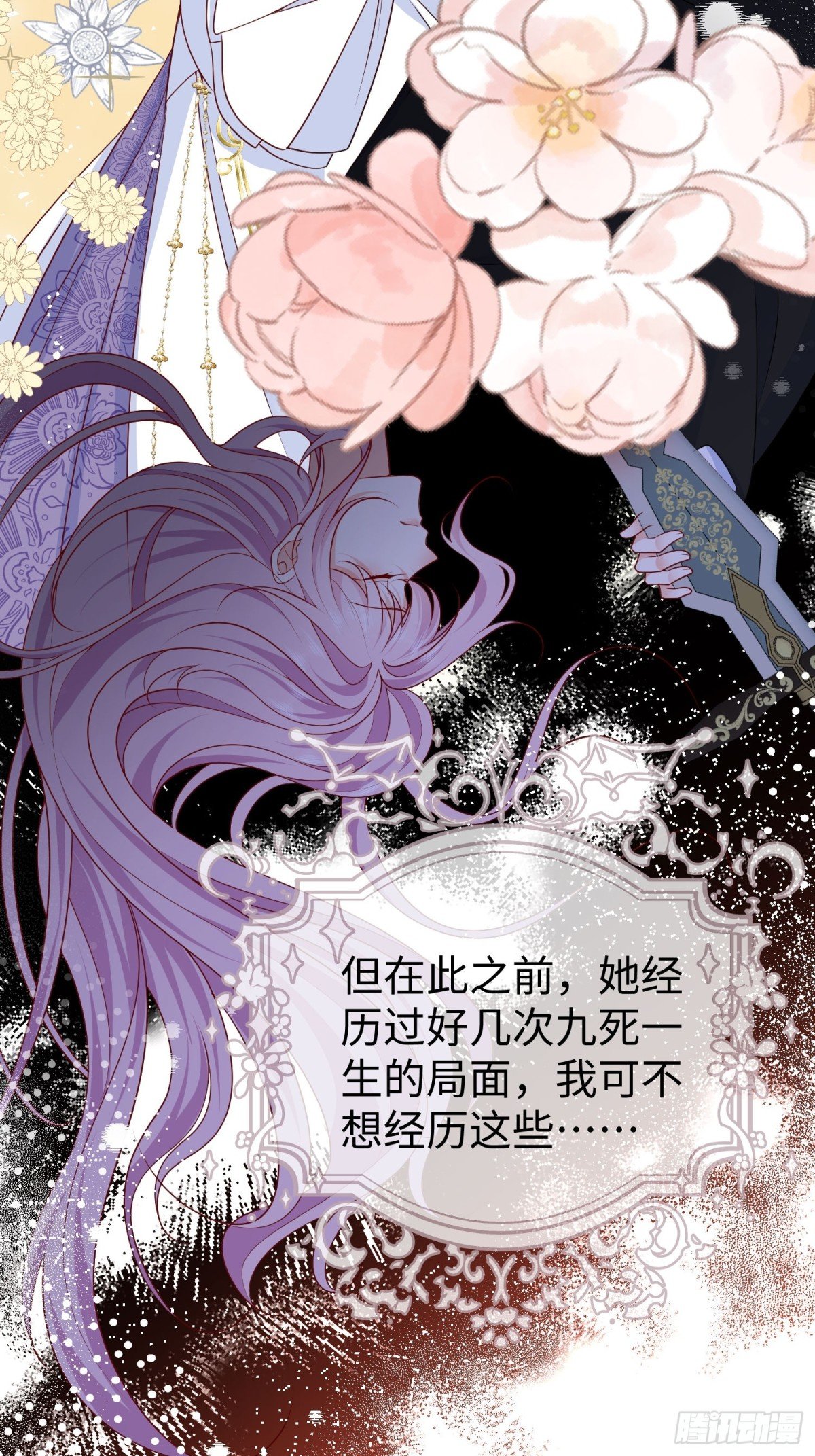 12 守护小混血行动现在开始