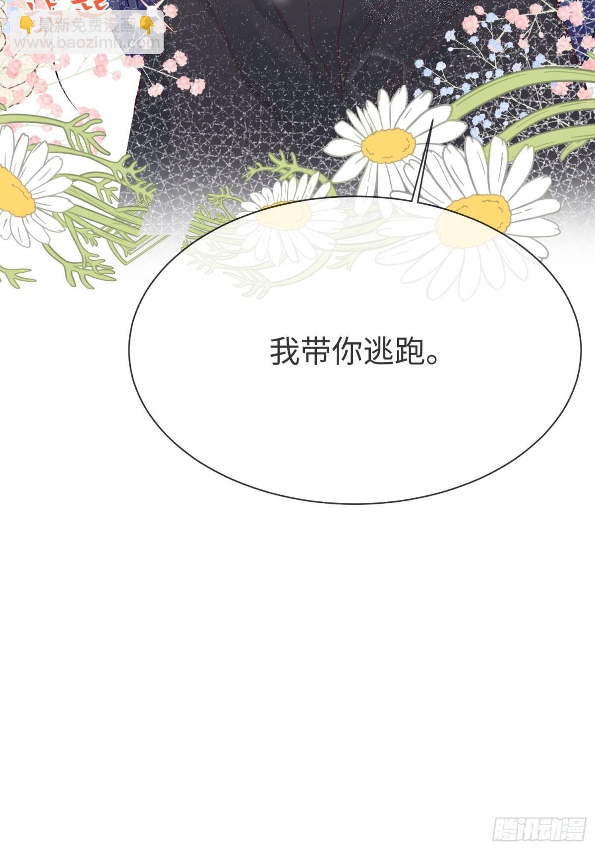 12 守护小混血行动现在开始