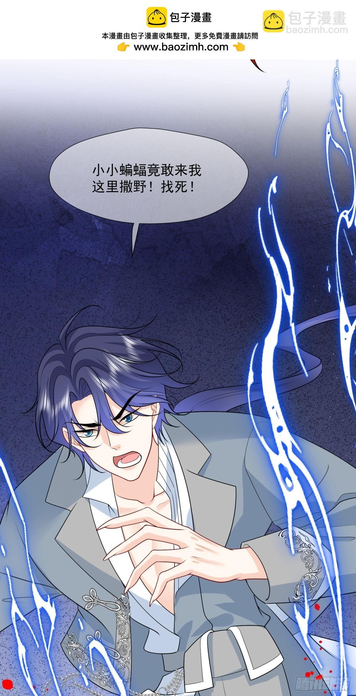 20 誓死守护公主大人！