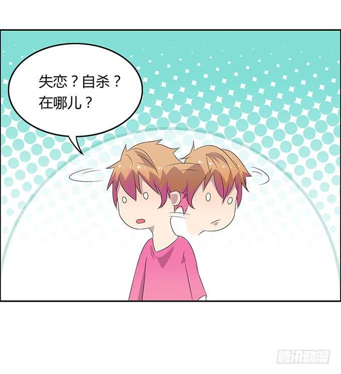 寻找小桃桃之旅