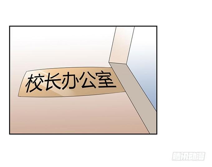寻找小桃桃之旅