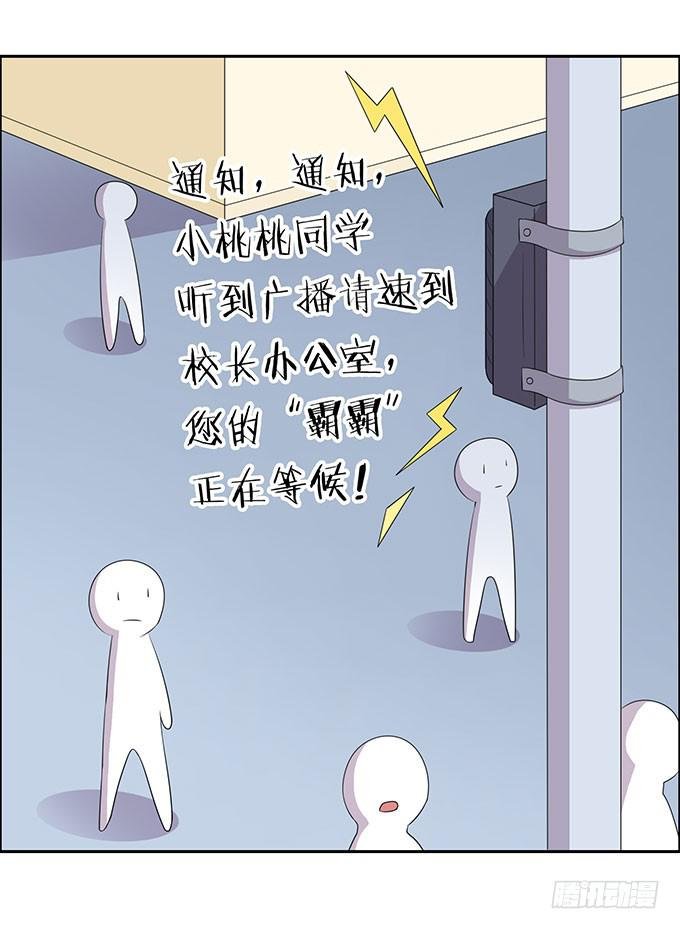寻找小桃桃之旅