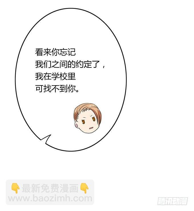 寻找小桃桃之旅