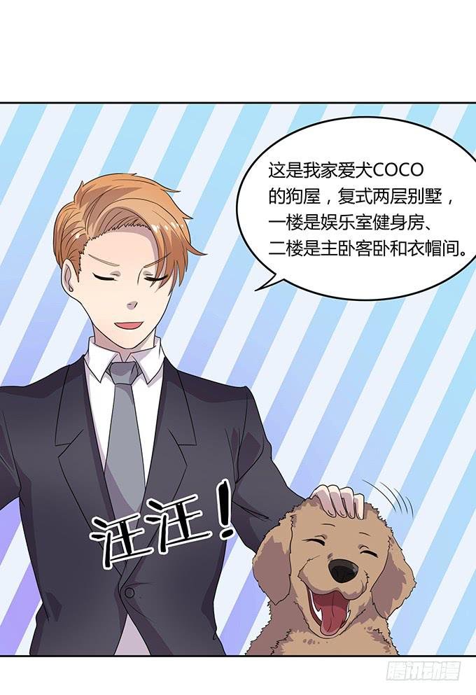 厨房杀手上线