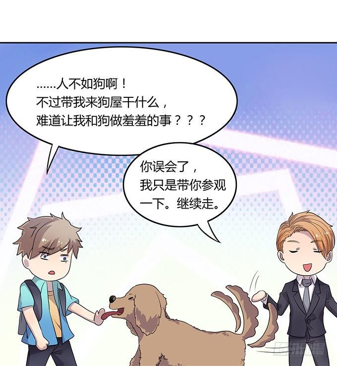厨房杀手上线