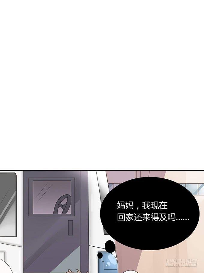 春游进行时