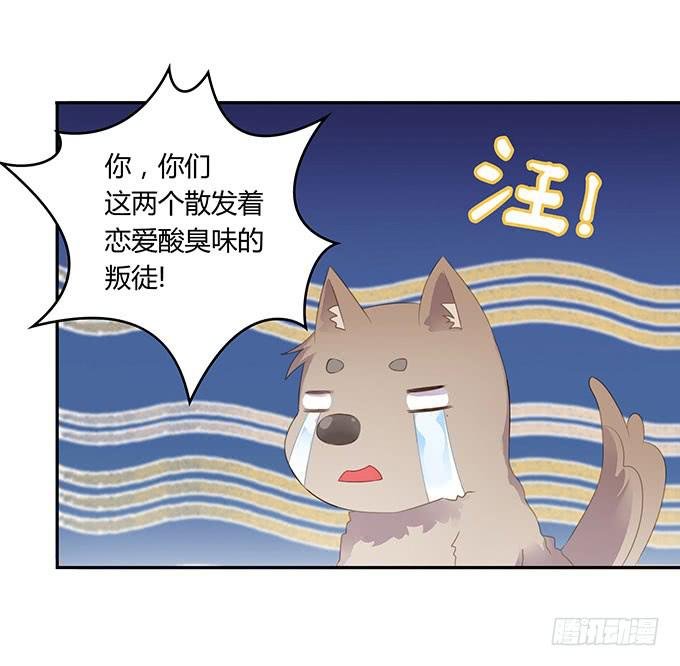 情人节的蜜汁心动