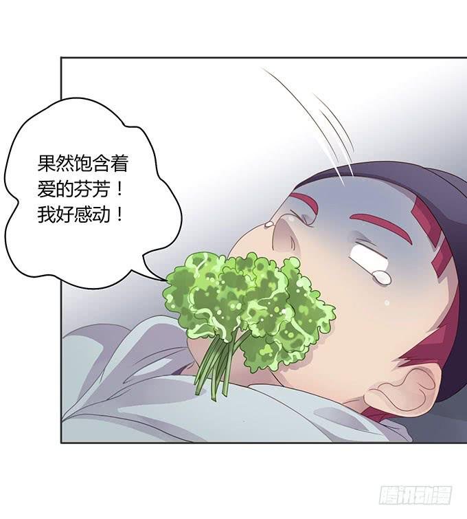 情人节的蜜汁心动
