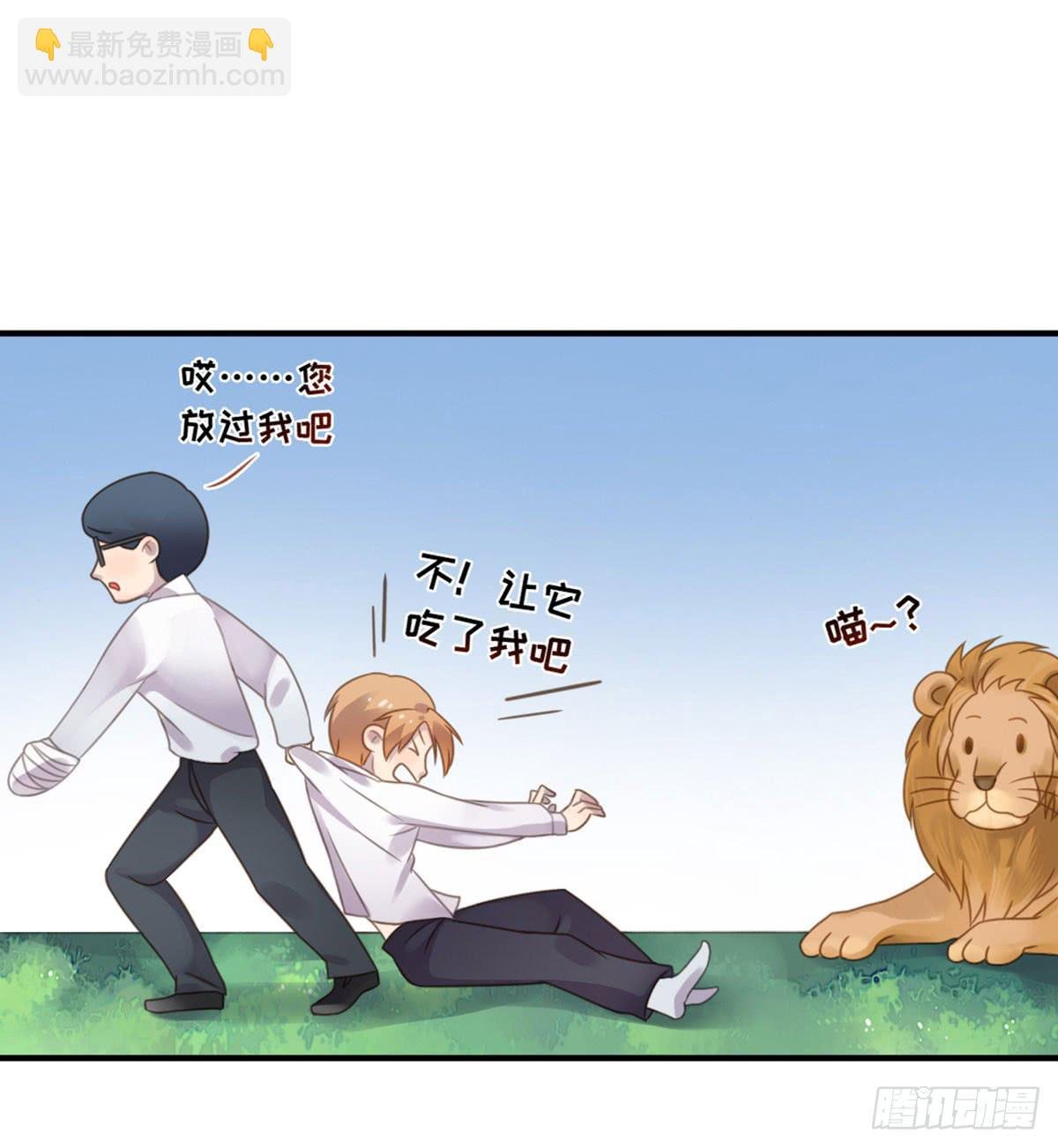 完美大结局？