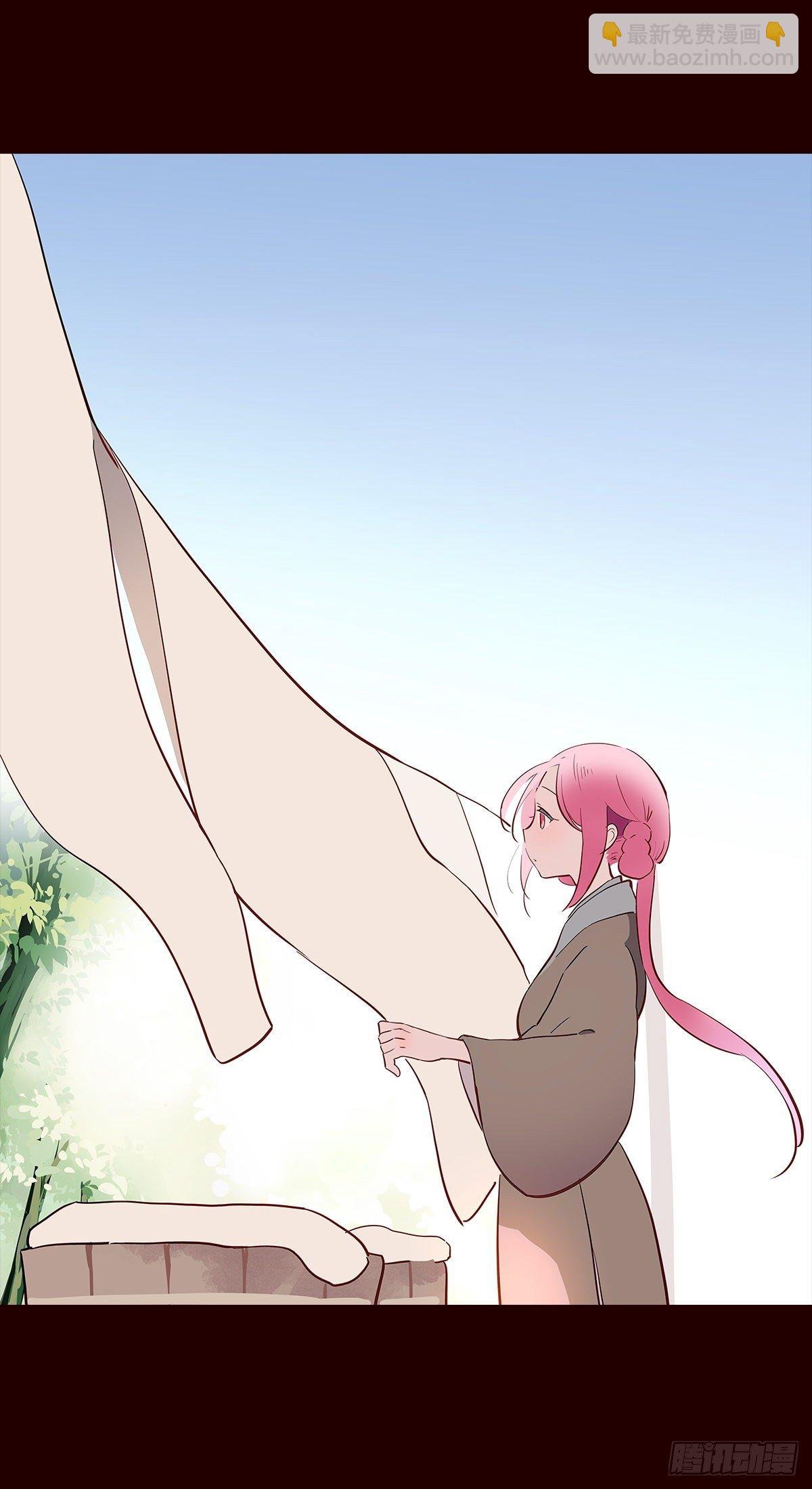 撒花完结