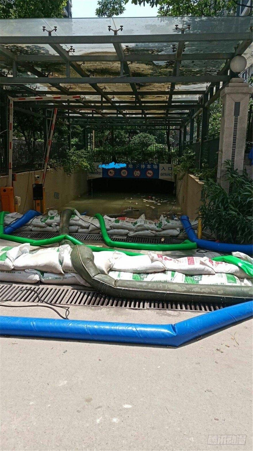 少侠，潜水健身了解一下