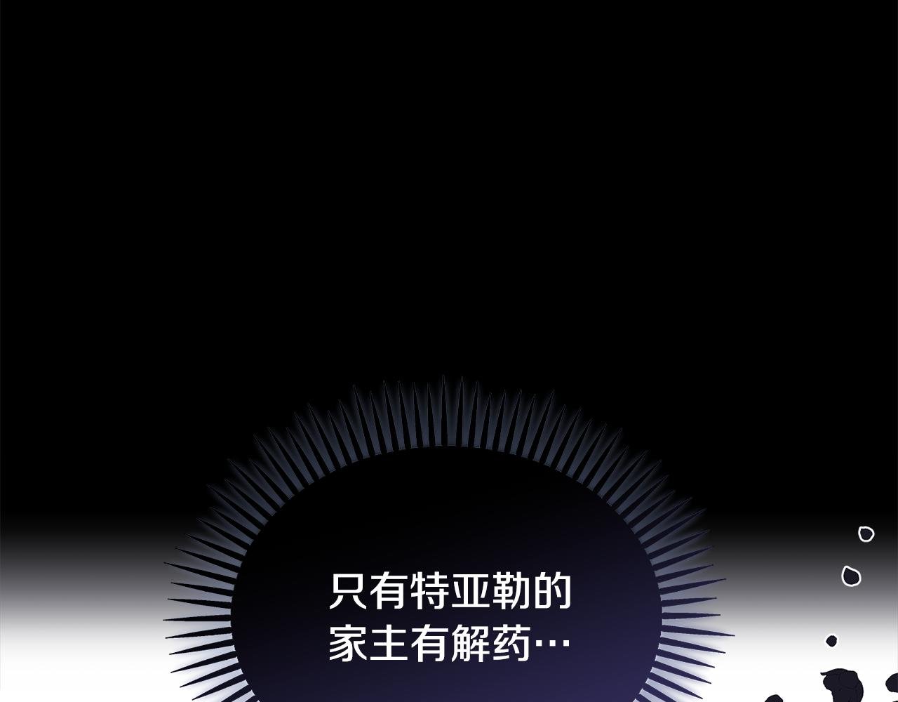 第4话 她到底是谁？