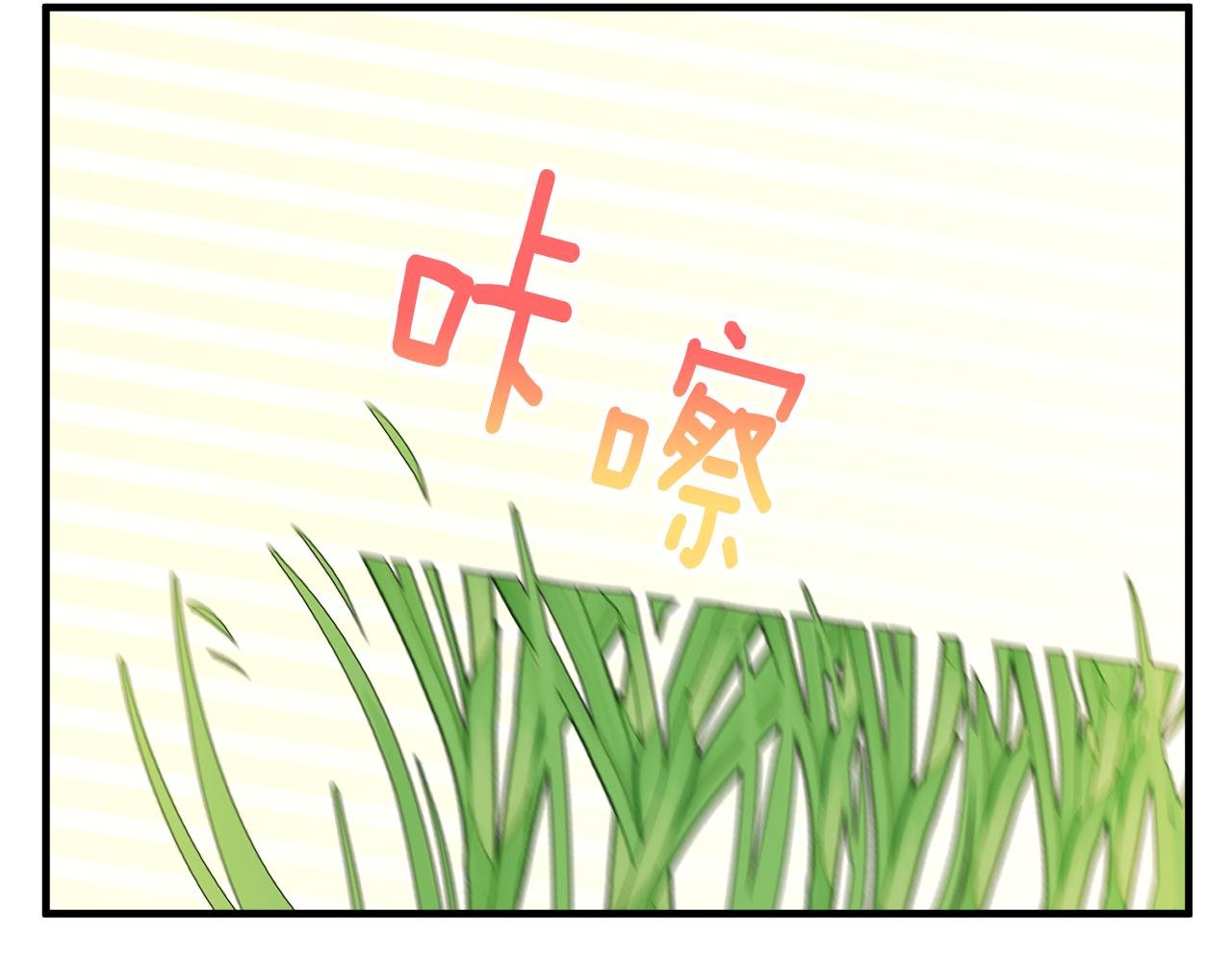 第5话 深夜采药邂逅