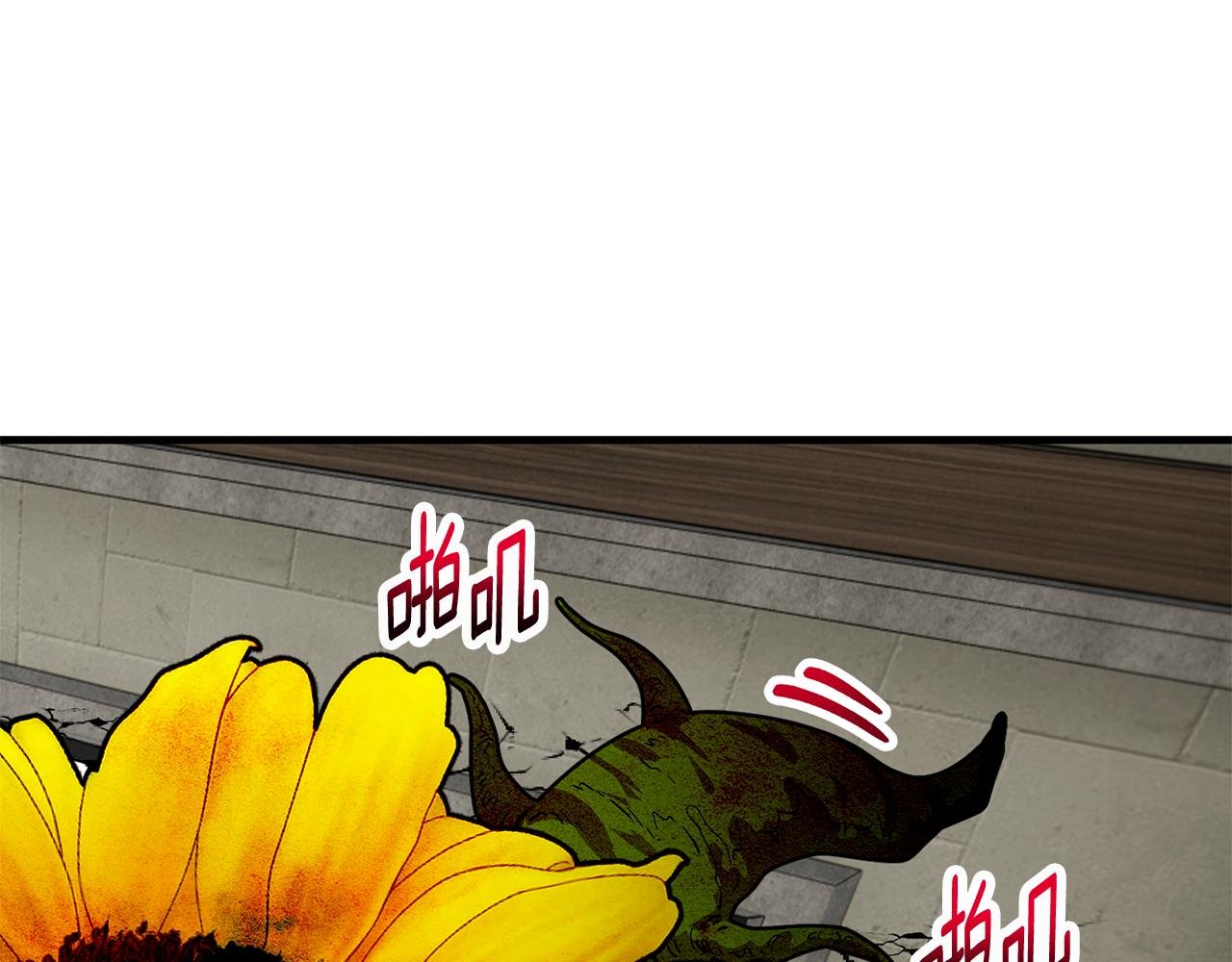 第54话 花儿攻击研究院