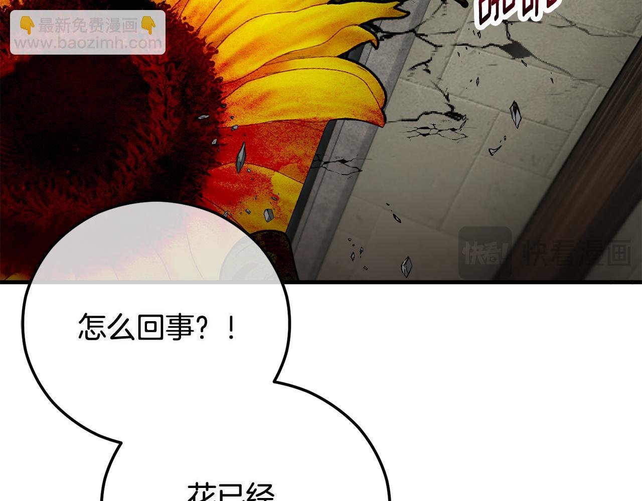 第54话 花儿攻击研究院