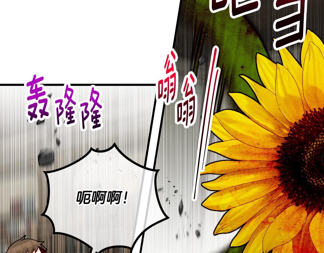 第54话 花儿攻击研究院