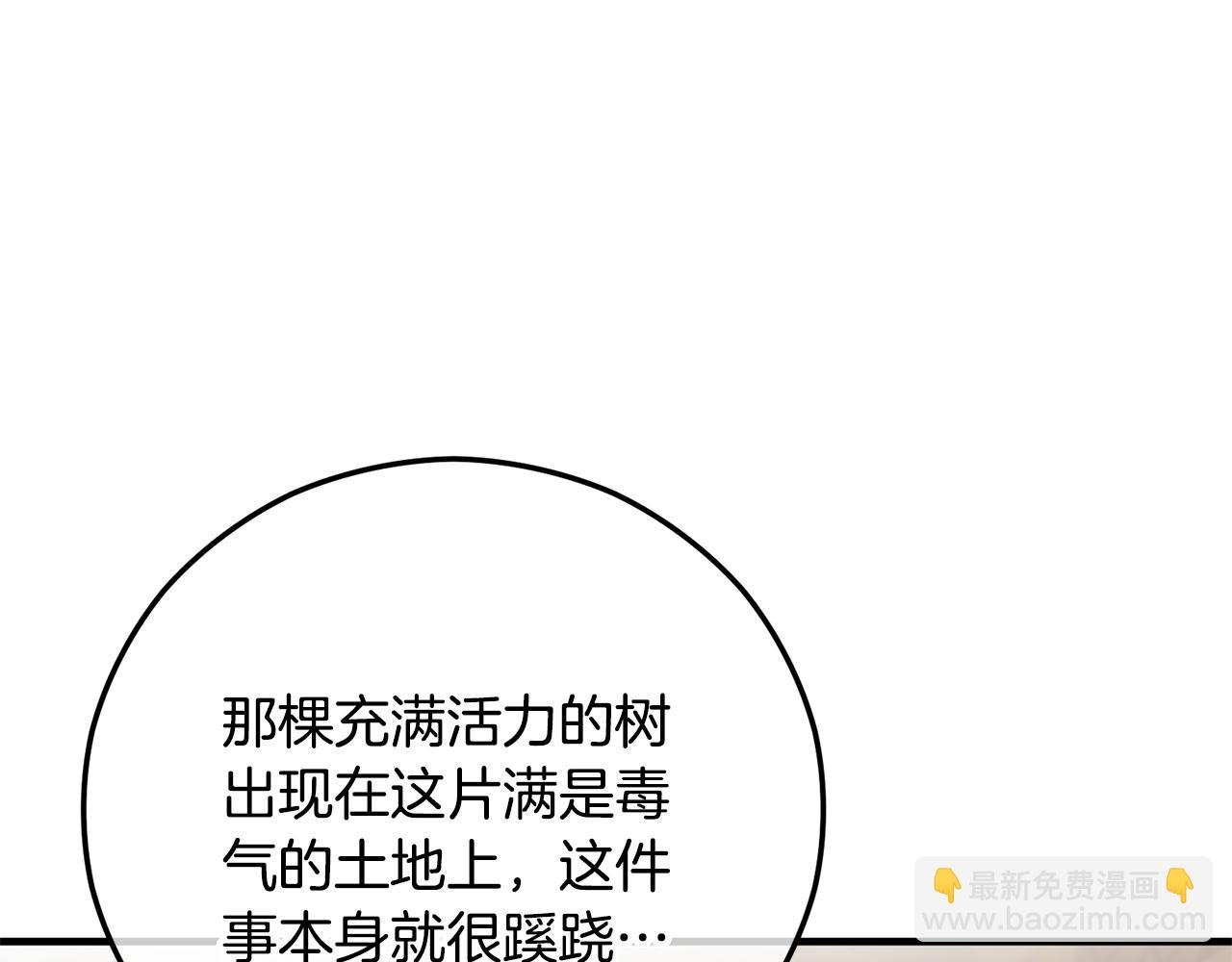 第66话 深粉树和莎的关系