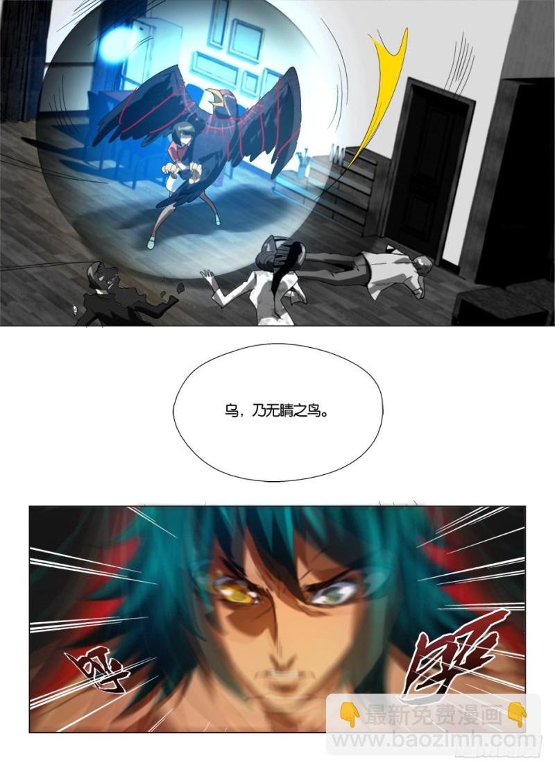 第一百零五回 无睛之鸟