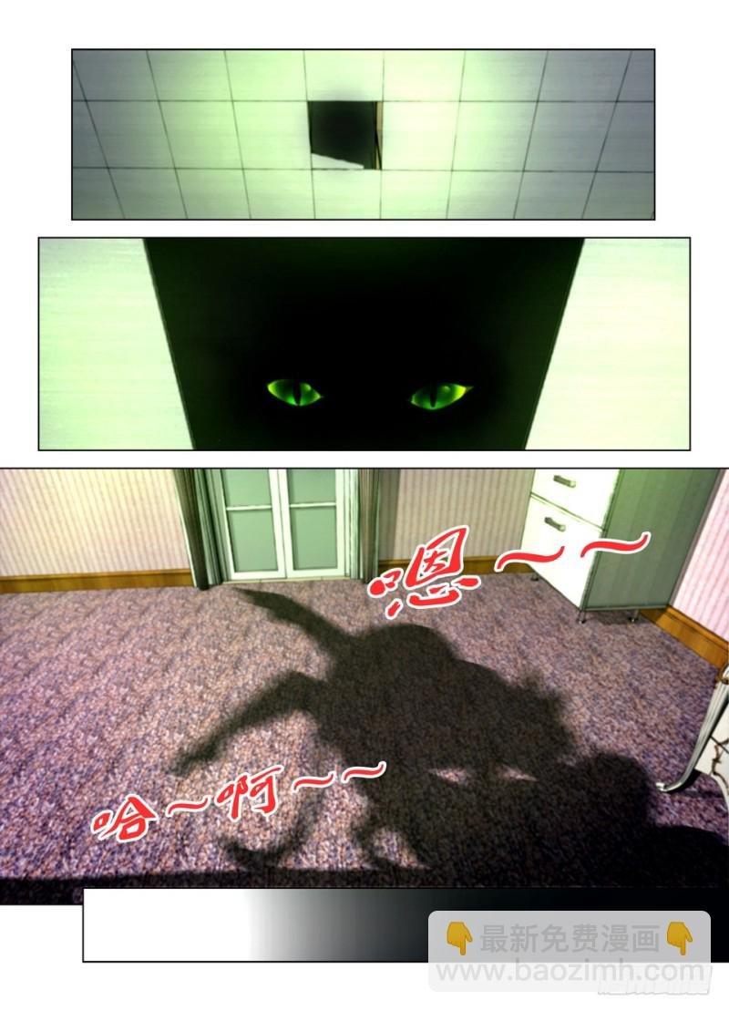第一百五十一回 猫与人的交配