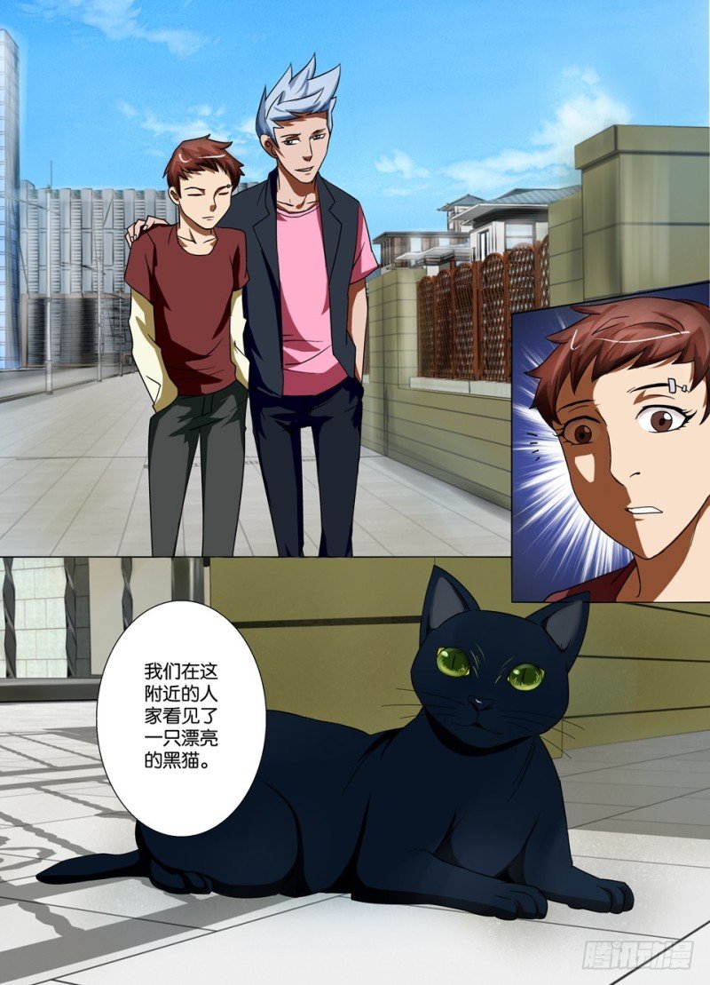 第一百五十二回 猫的视线