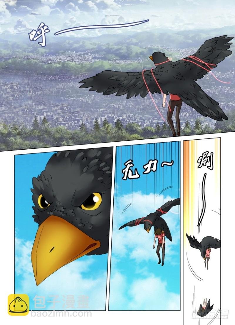 第202回 乌与乌鸦