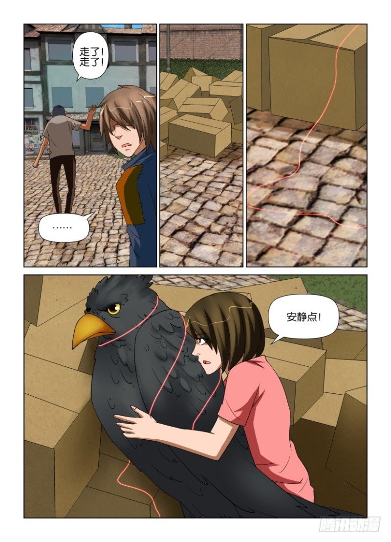 第202回 乌与乌鸦