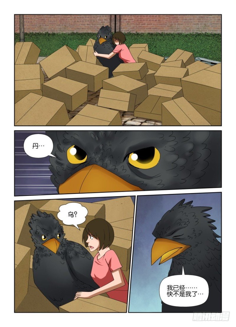 第202回 乌与乌鸦