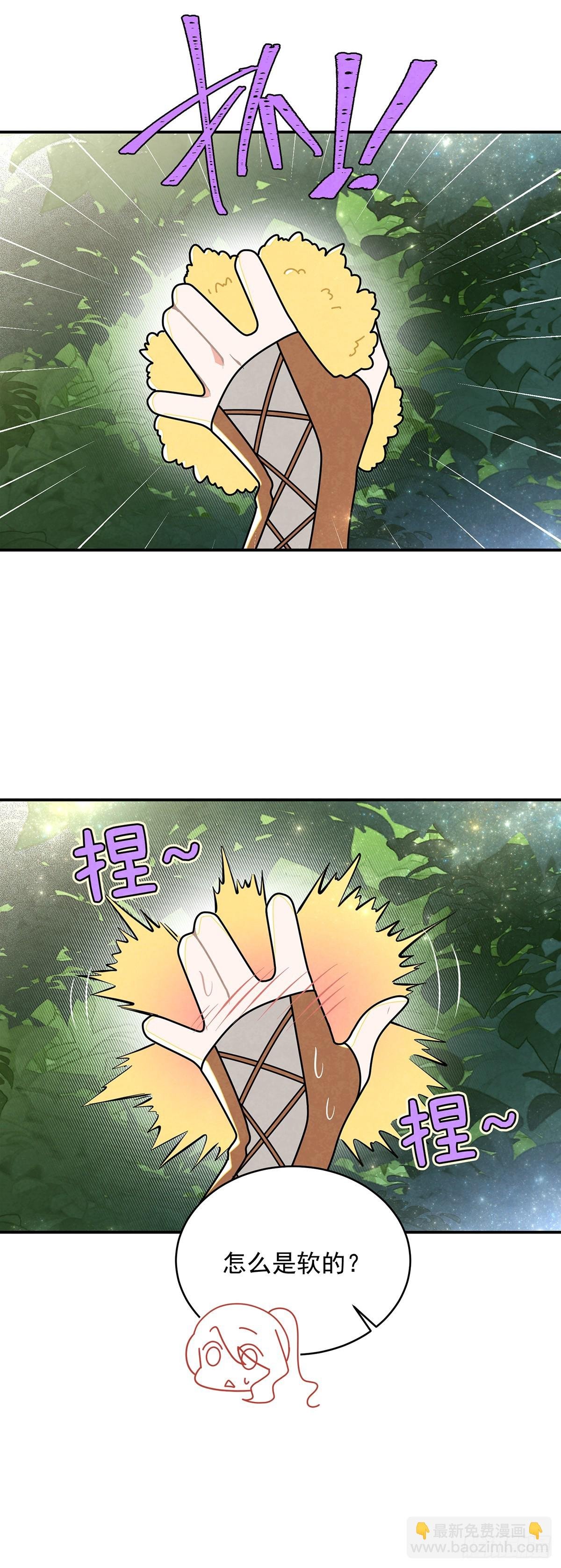 进击的苹果