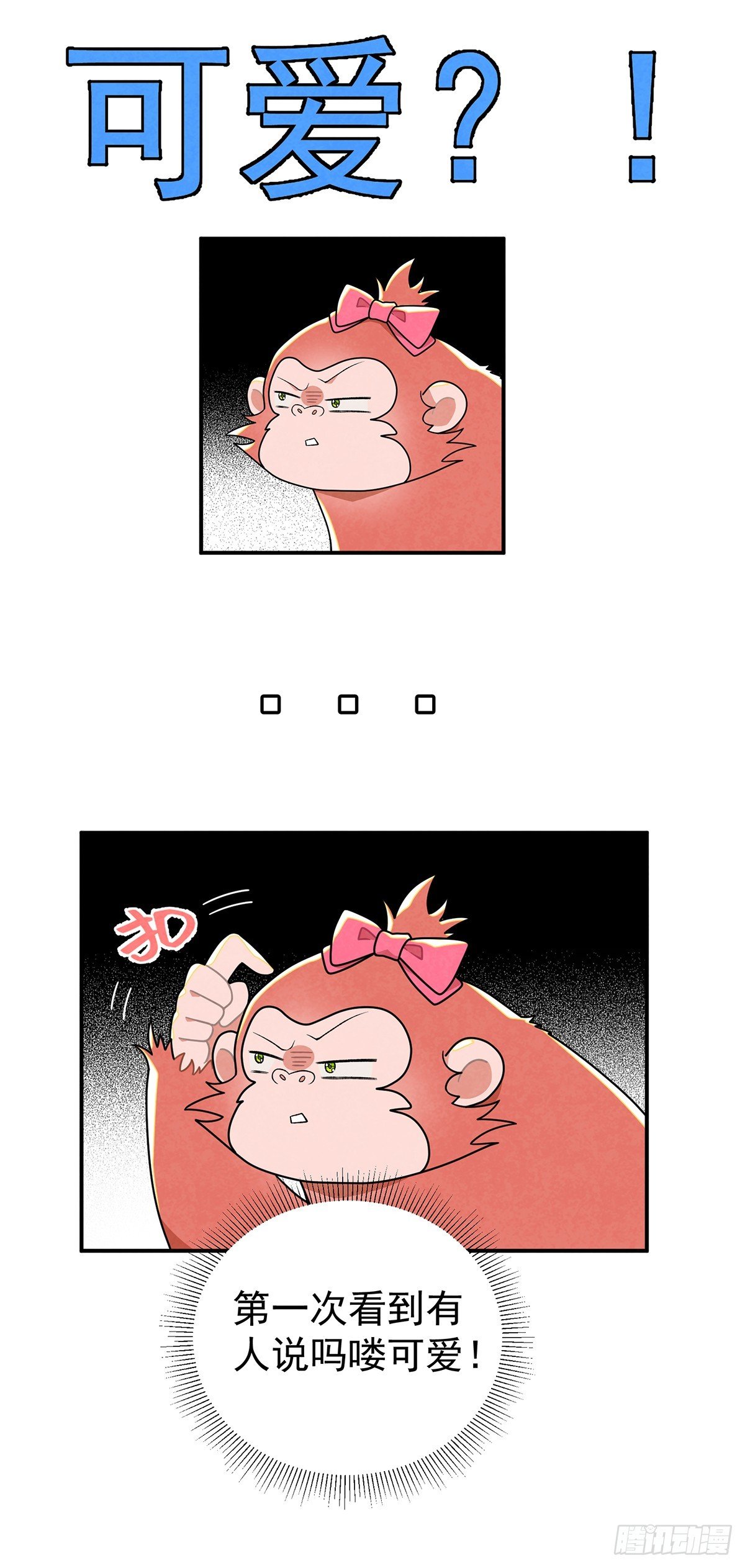 秃毛的狂怒！
