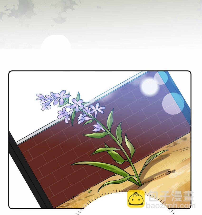 018 不会再爱了