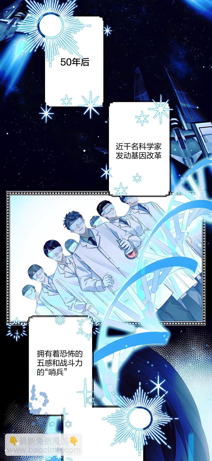 1 低级向导