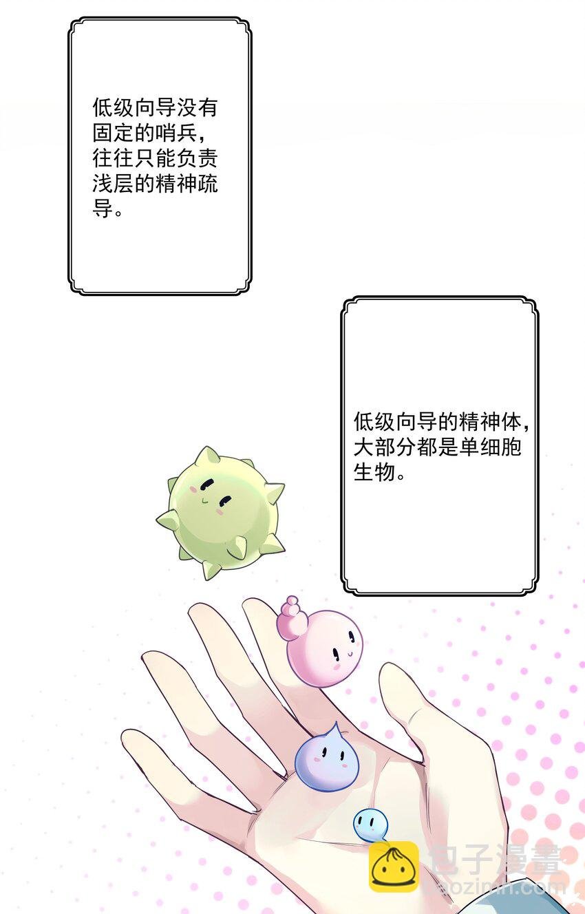 1 低级向导