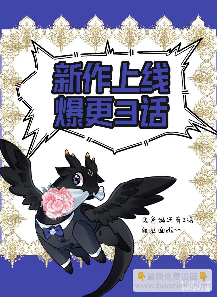 1 低级向导