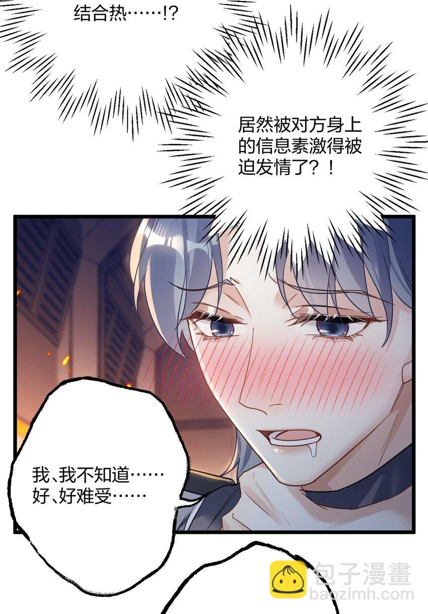 24 选择题