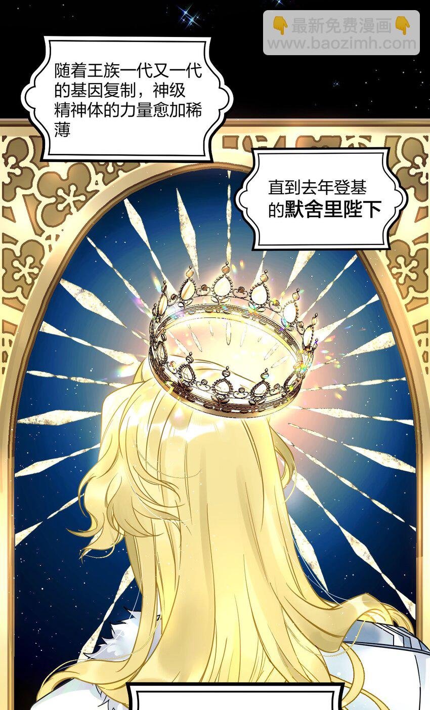 2 神经病们，开始吧