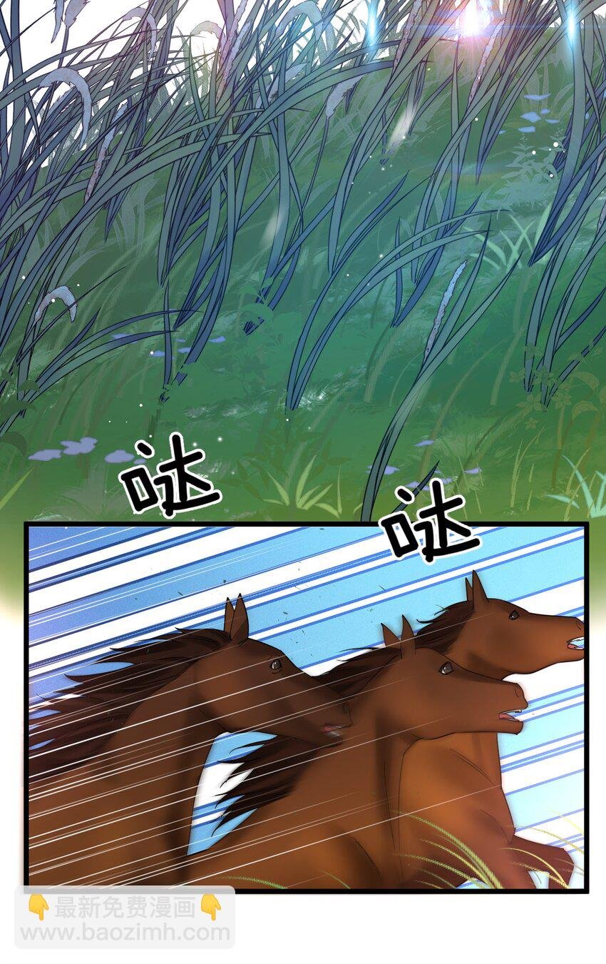 50 小碧丝