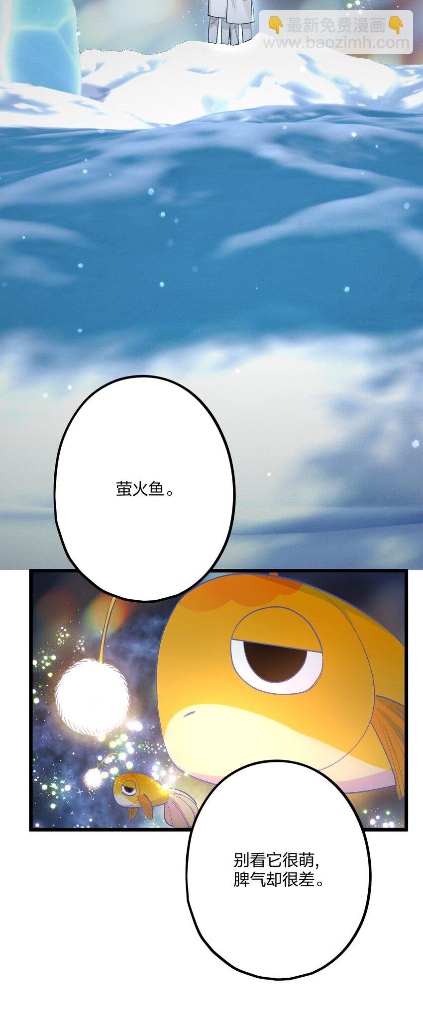 63 桔梗