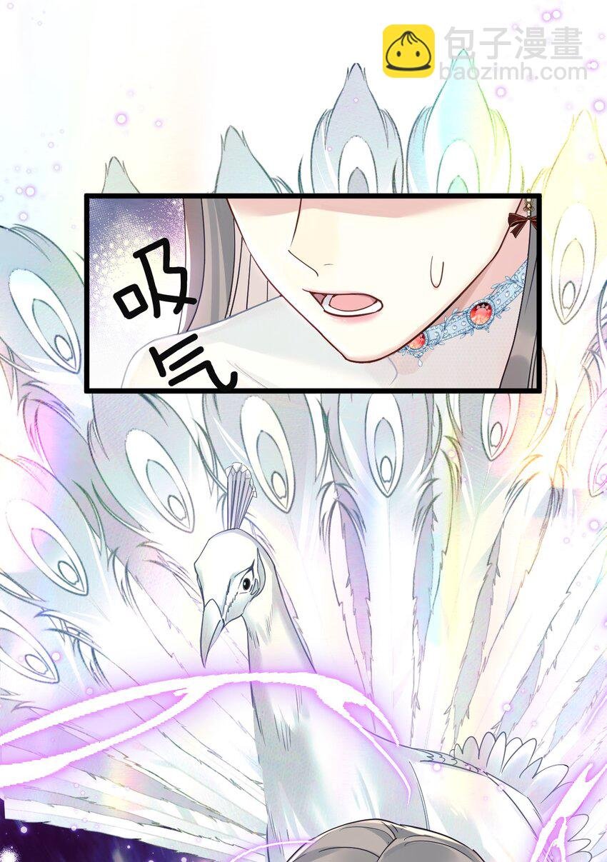 8 带着兔兔去见他