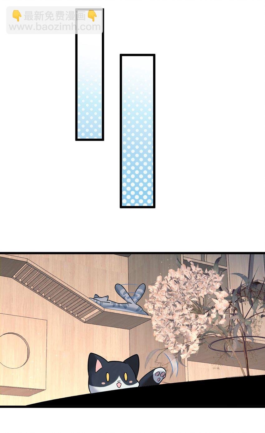 8 带着兔兔去见他