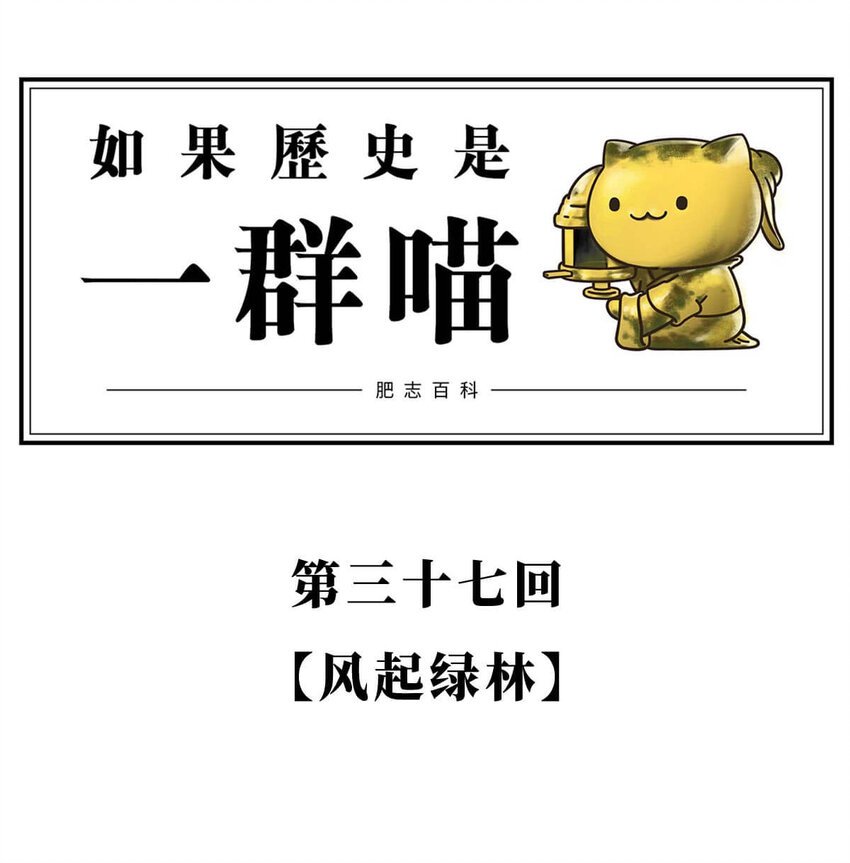 37 【风起绿林】那一年，我绿了……