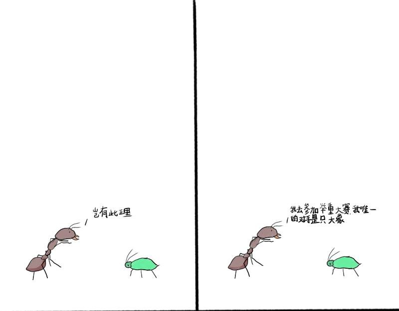 十五