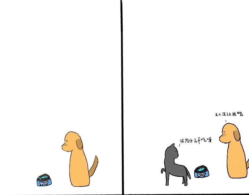十四