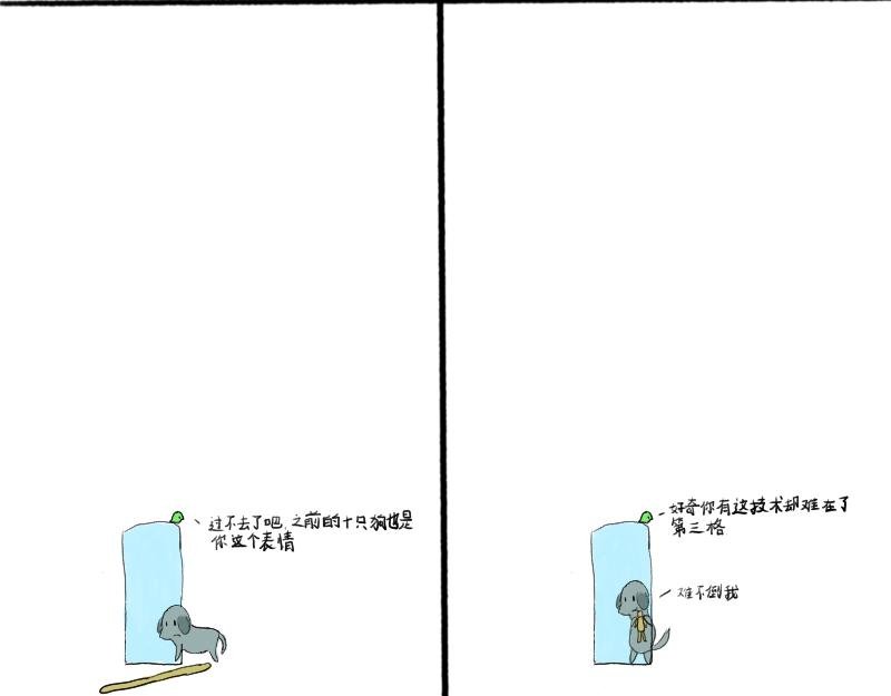 十七