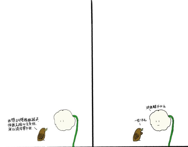 十六
